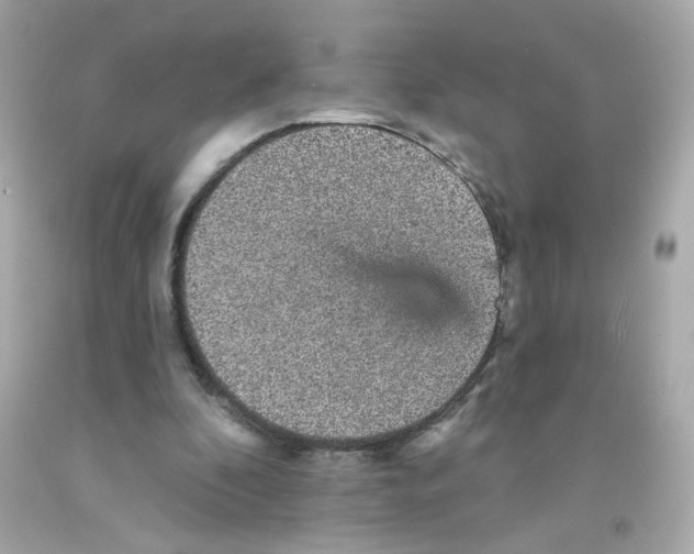 X0000093130296200710241328