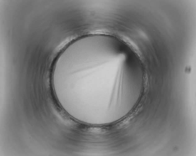 X0000093130298200710241328