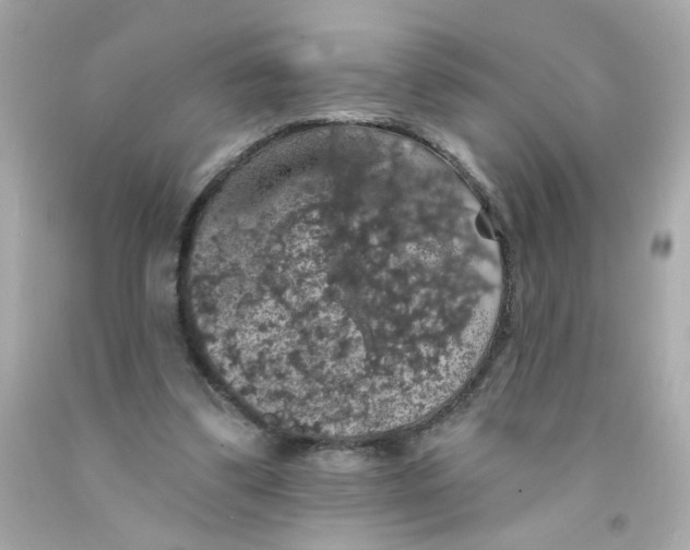 X0000093130299200710241328