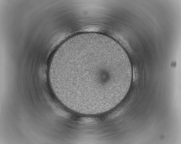 X0000093130300200710241328