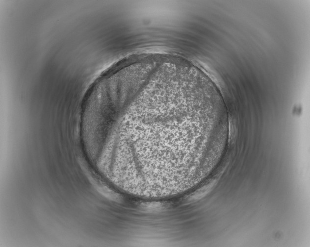 X0000093130301200710241328