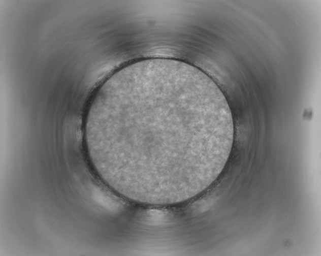 X0000093130302200710241328