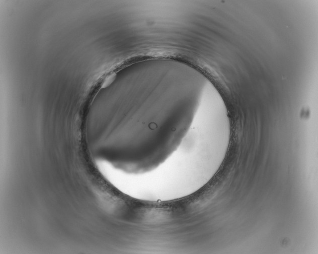 X0000093130303200710241328