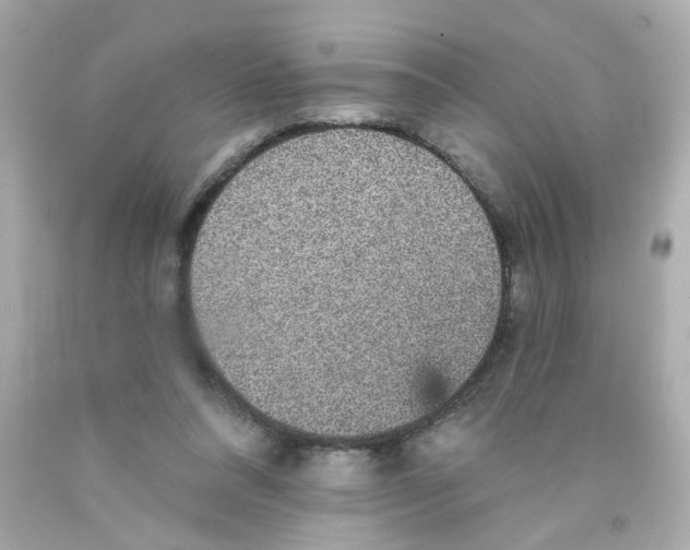 X0000093130304200710241328