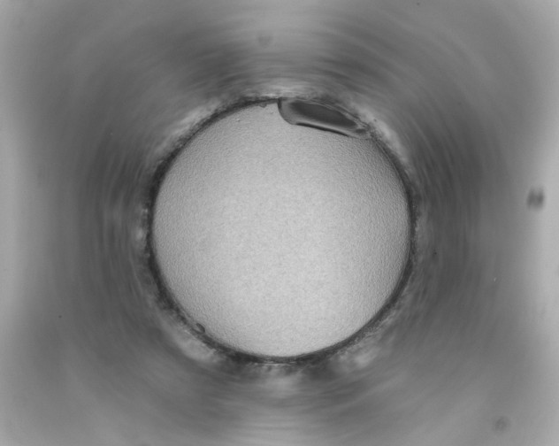 X0000093130305200710241328