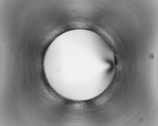 X0000093130306200710241328