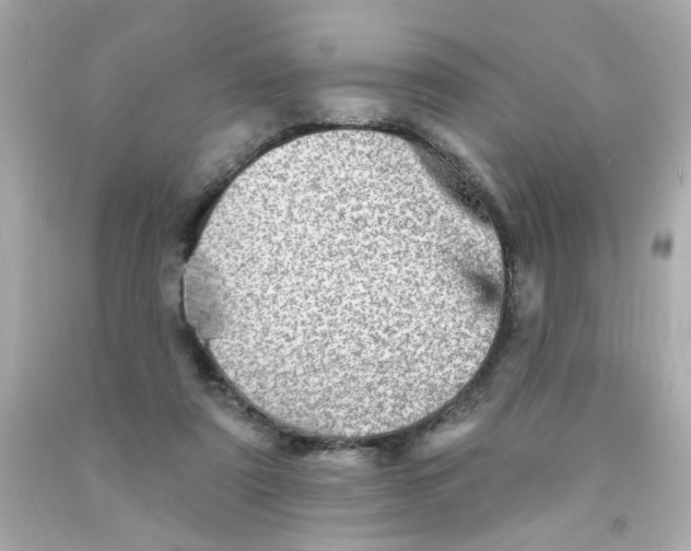 X0000093130307200710241328