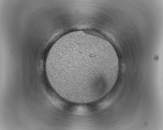 X0000093130308200710241328