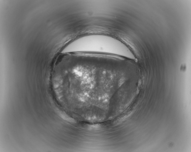 X0000093130309200710241328