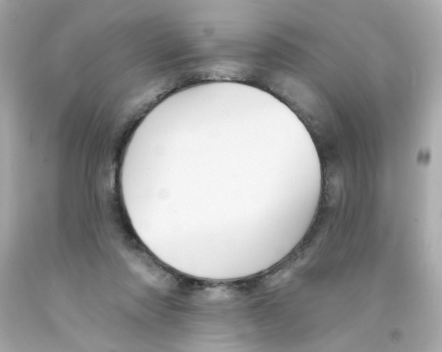 X0000093130310200710241328