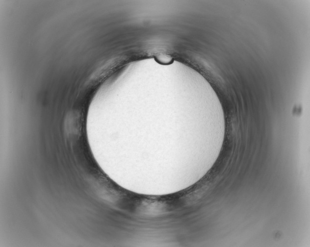 X0000093130311200710241328