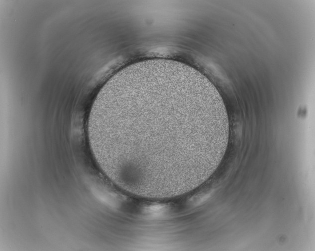 X0000093130312200710241328