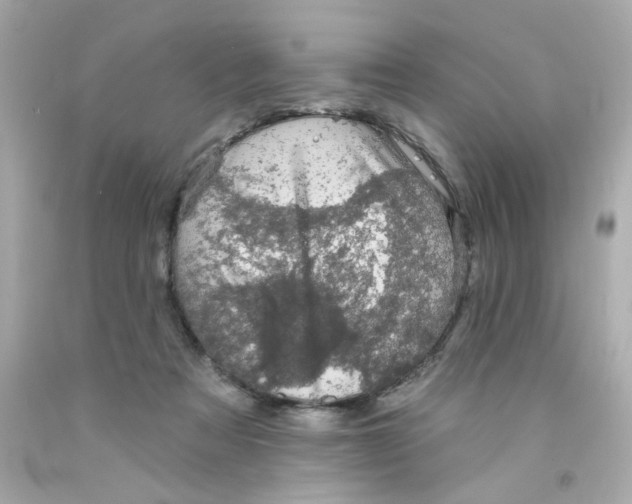 X0000093130313200710241328