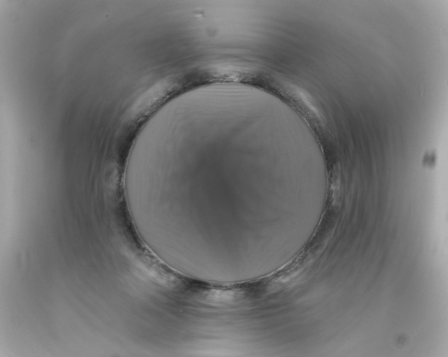 X0000093130314200710241328
