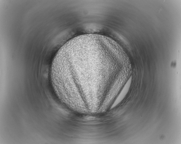 X0000093130315200710241328