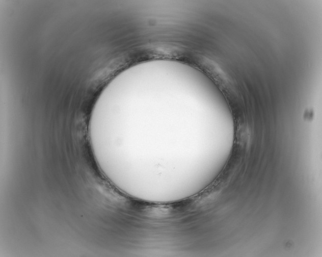 X0000093130318200710241328