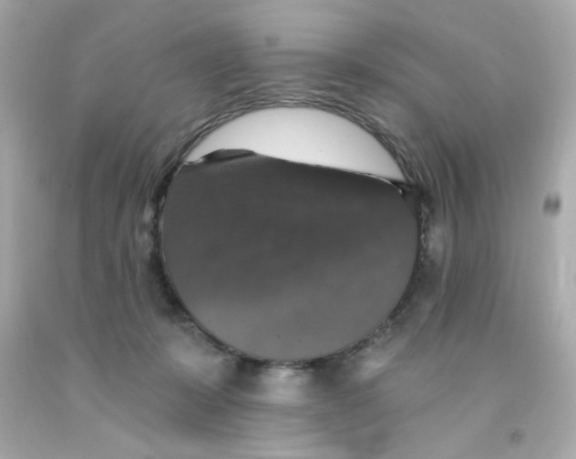 X0000093130319200710241328
