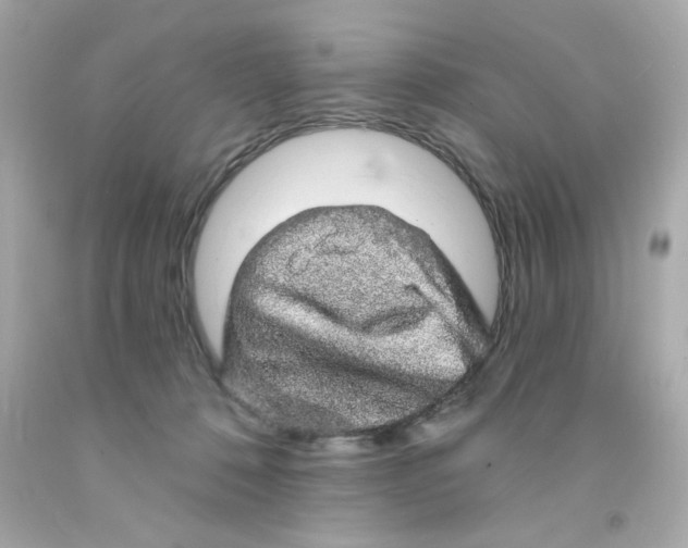 X0000093130320200710241328