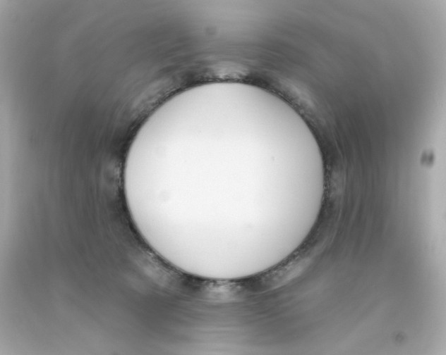 X0000093130321200710241328
