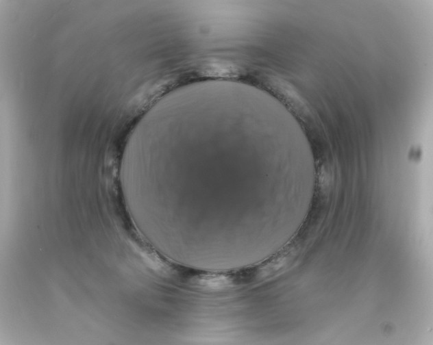 X0000093130322200710241328