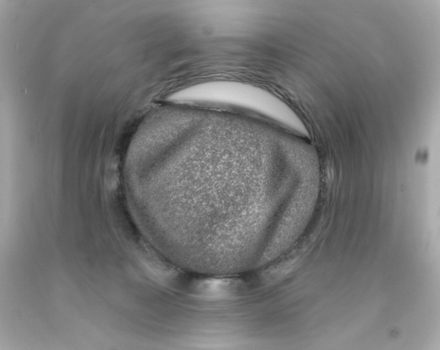 X0000093130323200710241328