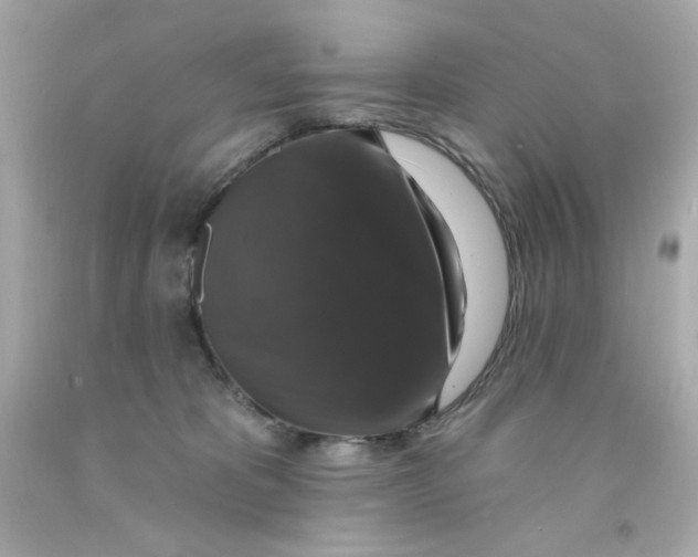 X0000093130325200710241327