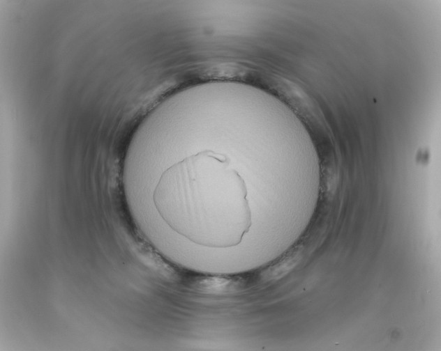 X0000093130326200710241327
