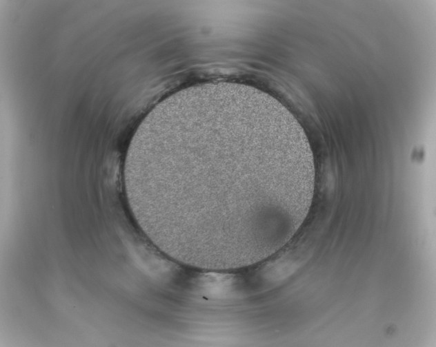 X0000093130328200710241327