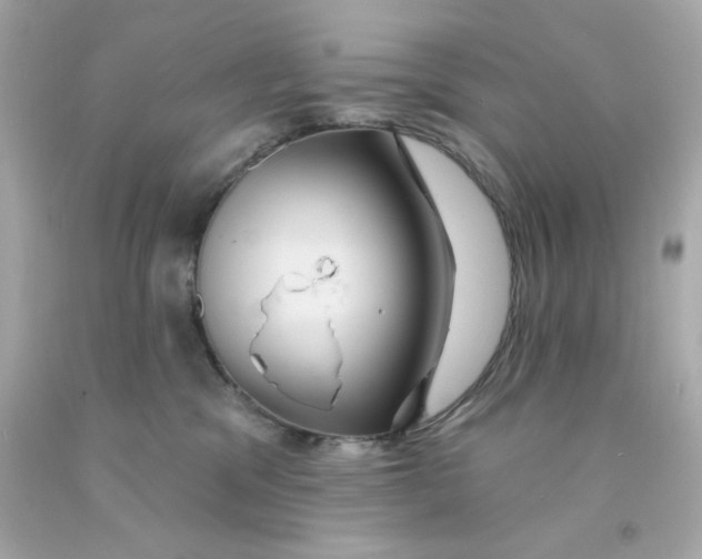 X0000093130329200710241327