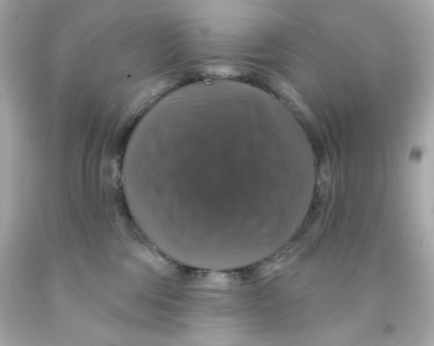 X0000093130330200710241327