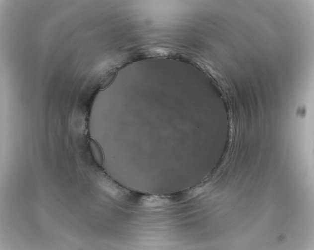 X0000093130331200710241327