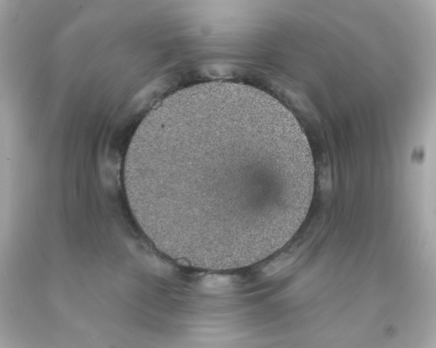 X0000093130332200710241327