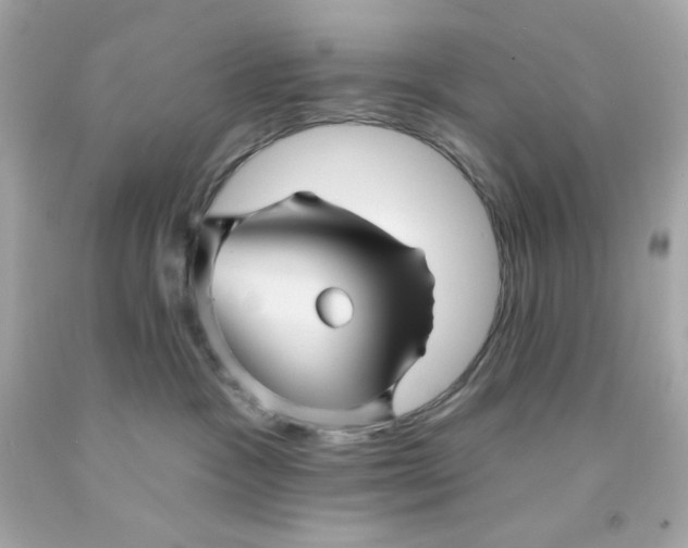 X0000093130333200710241327