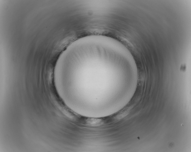 X0000093130334200710241327