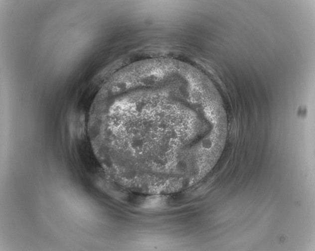 X0000093130335200710241327