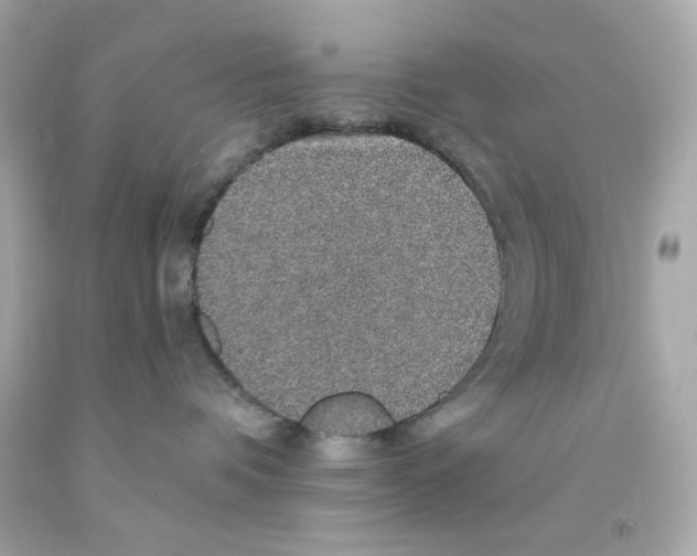 X0000093130336200710241327