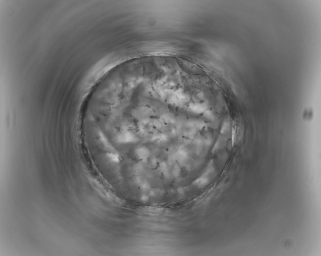 X0000093130339200710241327