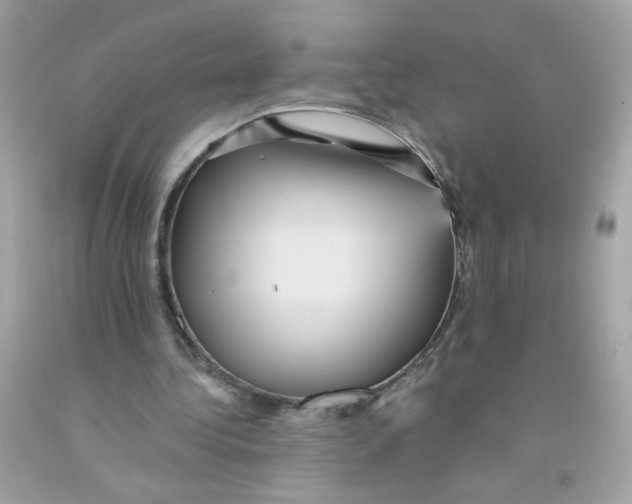 X0000093130340200710241327