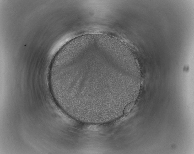 X0000093130341200710241327