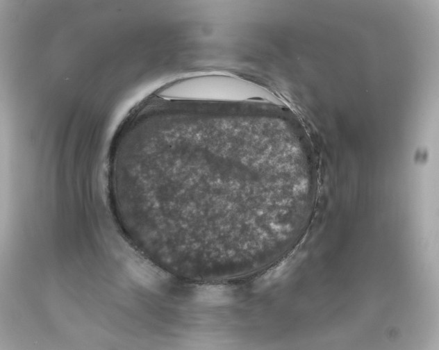 X0000093130342200710241327