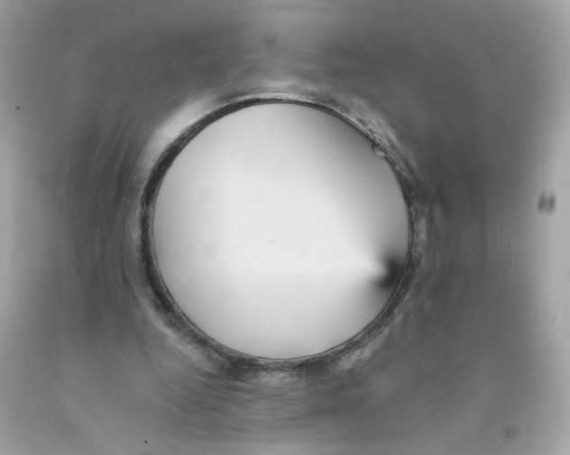 X0000093130344200710241327