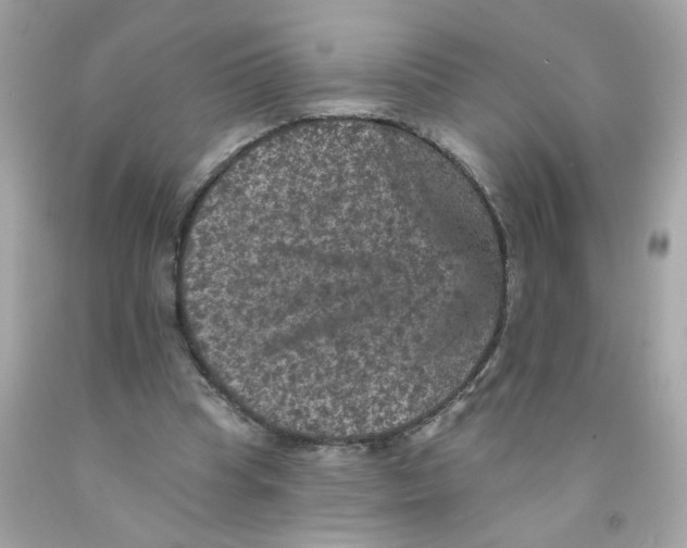 X0000093130345200710241327