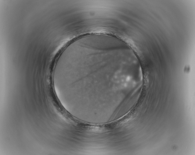 X0000093130347200710241327