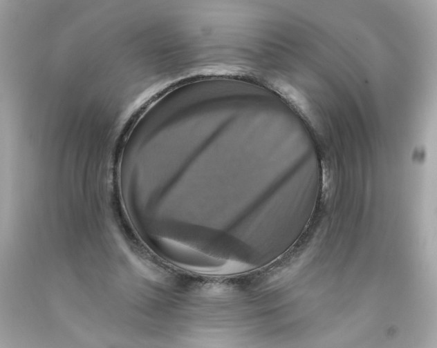 X0000093130348200710241327