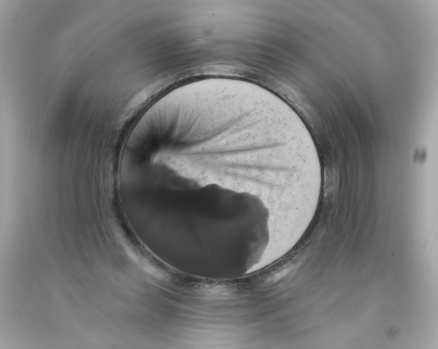 X0000093130349200710241327