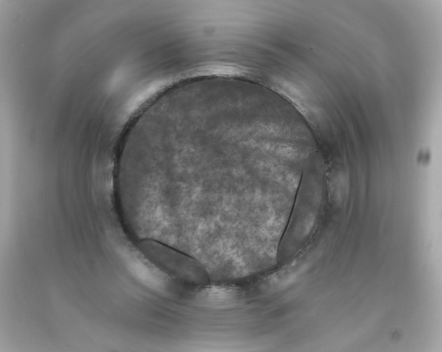 X0000093130350200710241327