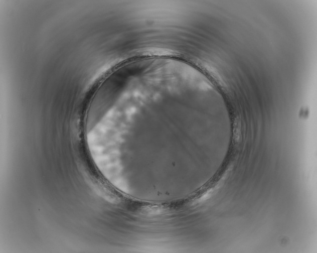 X0000093130351200710241327