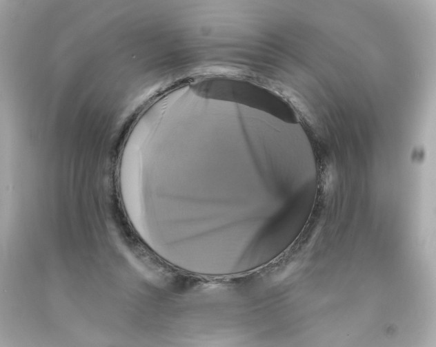 X0000093130352200710241327