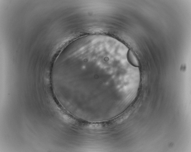 X0000093130353200710241327