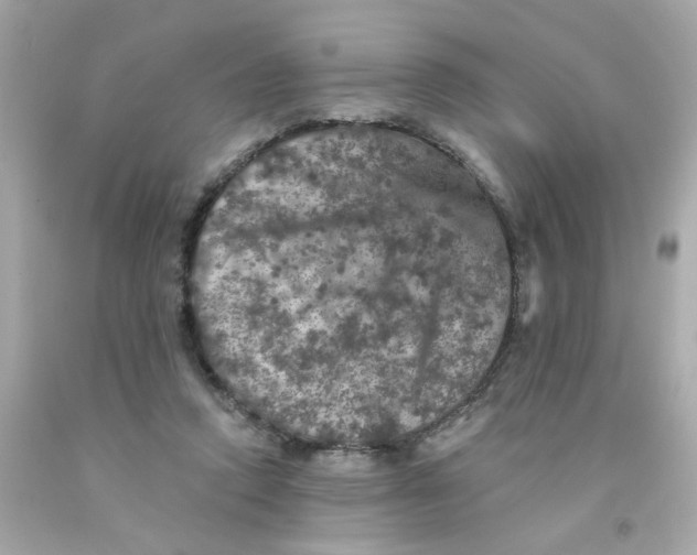 X0000093130354200710241327